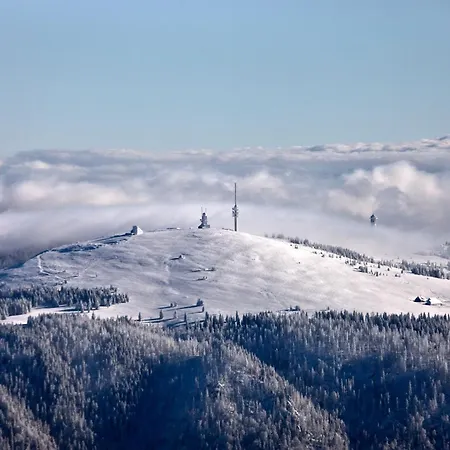 Appartamento Drei Tannen - 10 - Apartmenthaus, Titisee, Feldberg