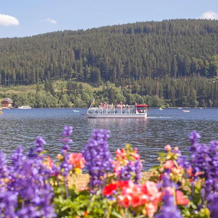 Appartamento Drei Tannen - 10 - Apartmenthaus, Titisee, Feldberg *