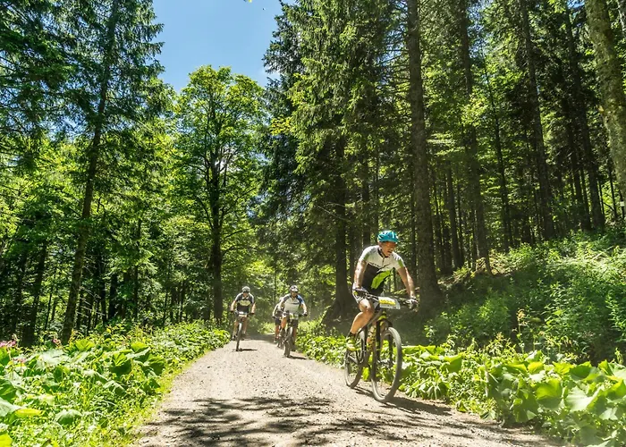 Drei Tannen - 10 - Apartmenthaus, Titisee, Feldberg Titisee-Neustadt