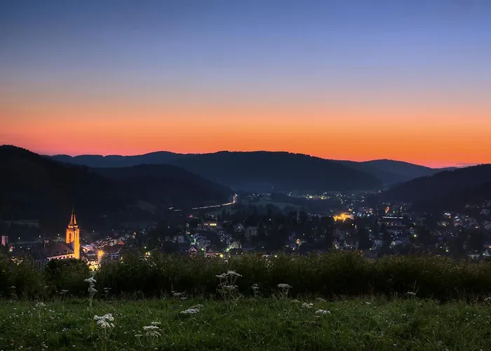 Apartmán Drei Tannen - 10 - Apartmenthaus, Titisee, Feldberg Titisee-Neustadt